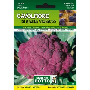 Sementi da Orto - Purple Sicilian Cauliflower - Sem. Dotto