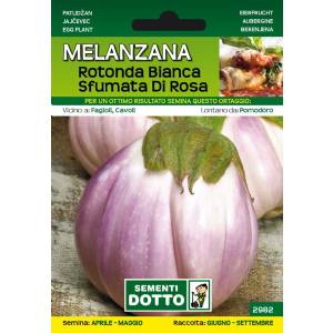Vegetable seeds - Round White Gradient Eggplant - Sem. Dotto