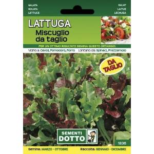 Vegetable Garden Seeds - Lettuce In a Cutting Mix - Sem. Dotto