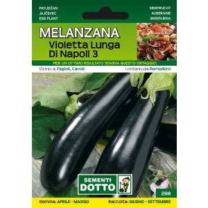 Vegetable Seeds - Long Violet Aubergine of Naples 3 - Sem. Dotto
