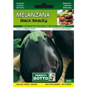 Vegetable Seeds - Aubergine Black Beauty - Sem. Dotto