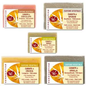 Bio Concentrated soap with hemp - 100Gr - Verdesativa