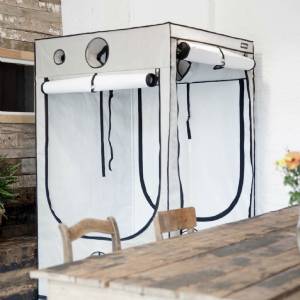 HOMEbox Ambient Q and Q+ | Square