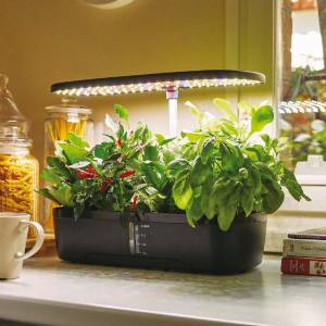 Indoor hydroponic vegetable garden 12 cells - Verdemax