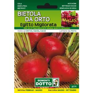 Vegetable Garden Seeds - Improved Egypt Beet - Sem. Dotto