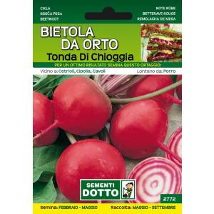 Vegetable Garden Seeds - Tonda di Chioggia Beet - Sem. Dotto