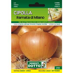 Sementi da Orto - Copper Onion from Milan - Sem. Dotto