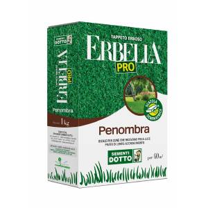 Prato Erbella Penombra 1kg - Sem. Dotto