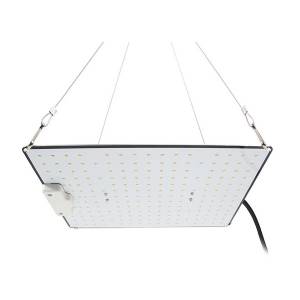 Quantum LED Lamp 100W Full Spectrum