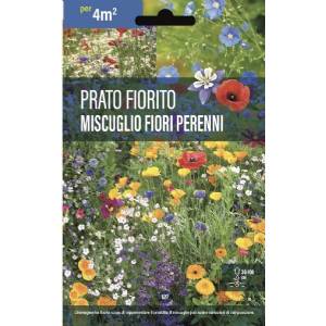 Flowering Meadow Mixture Perennial Flowers - Sem. Dotto