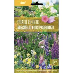 Flower Meadow Mixture for Fragrant Flowers - Sem. Dotto
