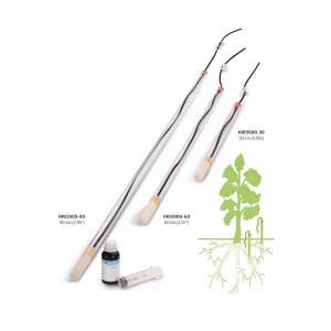 Groline - Lysimeter HI83900