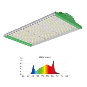 LED Quantum Board - 100W ECO