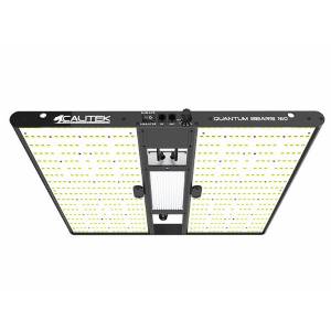 Calitek - Led Quantum Bears - 160W
