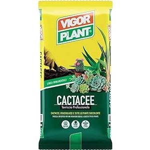 Soil for Cactaceae 20 LT - Vigorplant