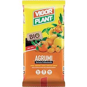 Citrus Soil - 20 LT - Vigorplant