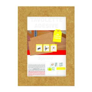 Flortis - Sprint Mouse Adhesive Tablets 2pcs