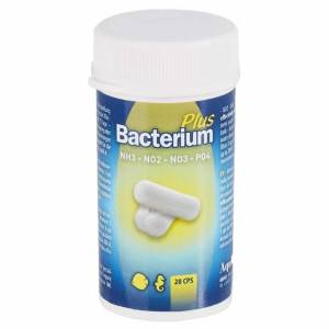 Bacterium Plus - Capsules