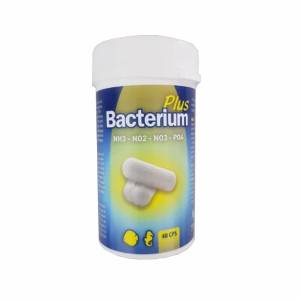 Bacterium Plus - Capsules