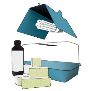 Kit Propagator Advanced