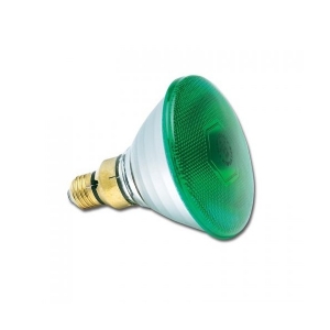 SYLVANIA GREEN BULB  80W