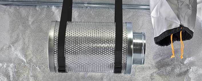 Odour Control in your Grow Box
