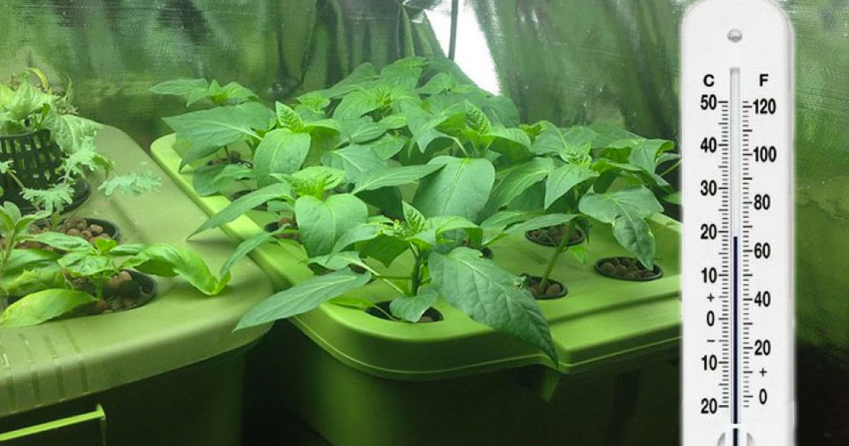 Temperature and Humidity in a Grow Box