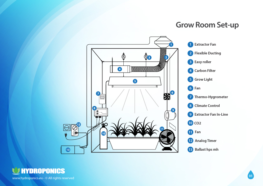 Setting Up The Grow Room The Optimal Environmental