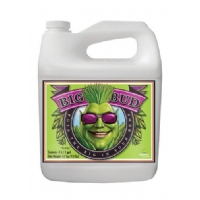 Adv Nutrients - BigBud 5L