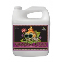 ADVANCED NUTRIENTS VOODOO JUICE 4L