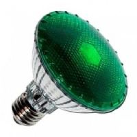 Agrolite Dark Night (Green Light) 100W