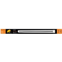 Mammoth Neon TCL 55W 2700K - Bloom
