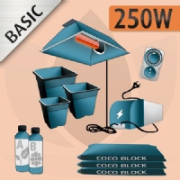 Indoor Cultivation Coco Kit 250W - BASIC