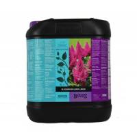 ATAMI B'CUZZ - BLOSSOM BUILDER LIQUID 5L