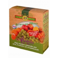 Antika Officina Botanika - Algantis 1Kg - Irish Algae