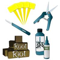  Cutting/Striking and Cloning Kit - 24 plants