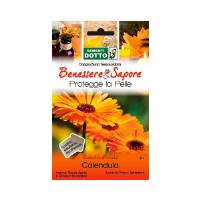 Calendula Seeds (Calendula Officinalis) by Sementi Dotto