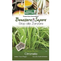 Lemongrass Seeds (Cymbopogon Flexuosus) by Sementi Dotto