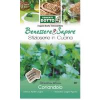 Coriander Seeds (Coriandrum Sativum) by Sementi Dotto