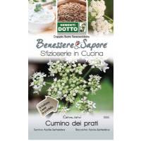 Caraway Seeds (Corum Carvi) by Sementi Seeds