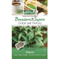 Stevia Seeds ( Stevia Rebaudiana) by Sementi Dotto
