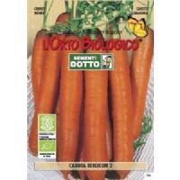 BERLICUN 2 CARROTS - Bio Garden Seeds by Sementi Dotto