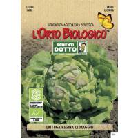 LETTUCE MAY SPRING 3,5gr  - Bio Garden Seeds by Sementi Dotto