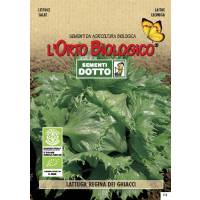 ICE QUEEN LETTUCE -  Bio Garden Seeds by Sementi Dotto