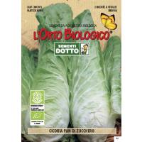 CRISPY LEAF CHICORY 4,5gr - Bio Garden Seeds by Sementi Dotto