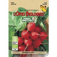 RADISH SAXA 2 - Bio Garden Seeds by Sementi Dotto