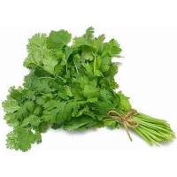 CORIANDER 16gr - Bio Aromatic Seeds by Sementi Dotto