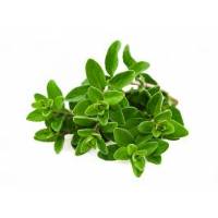 MARJORAM 0,7gr -Bio Aromatic Seeds by Sementi Dotto
