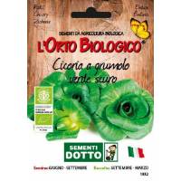COVEY LEAF CHICORY 4,5gr - Bio Garden Seeds by Sementi Dotto