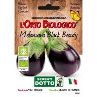 BLACK BEAUTY EGGPLANT 1,4gr - Bio Garden Seeds by Sementi Dotto